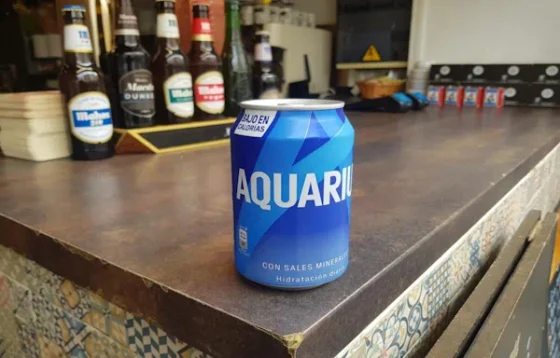 Botella de Aquarius Limón