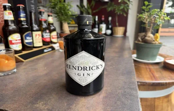 Gin tonic con ginebra Hendrick's
