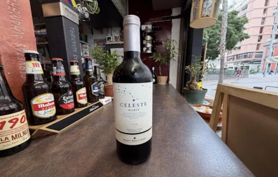 Copa de vino Celeste Roble