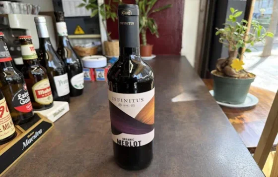 Copa de vino tinto Merlot