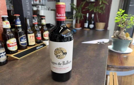 Botella de vino Pagos de Balbás