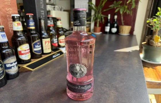 Copa de ginebra Puerto de Indias