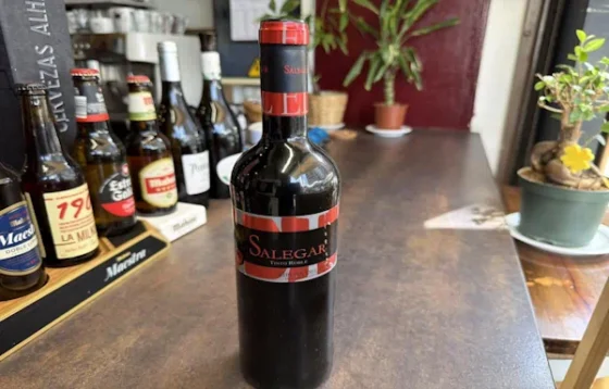 Botella de vino Salegar