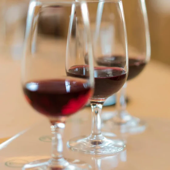Selección de vinos del Level Gastrobar