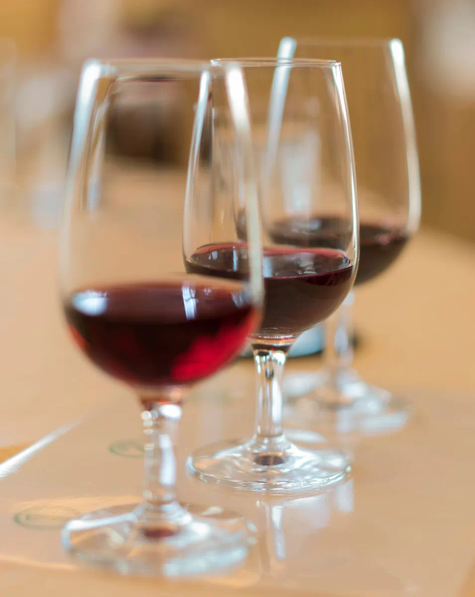 Selección de vinos del Level Gastrobar